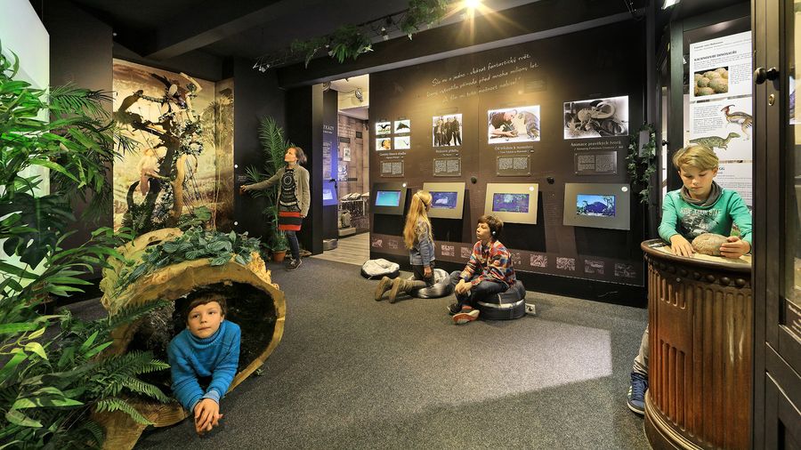 Expozice Cesta do pravěku. Foto: Libor Sváček. Zdroj: Muzeum Karla Zemana