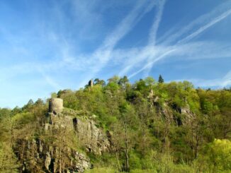 Zdroj foto: Shutterstock.com/DaCek