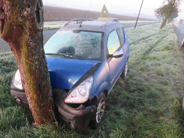 Auto narazilo do stromu