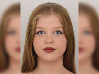 Pohřešovaná dívka