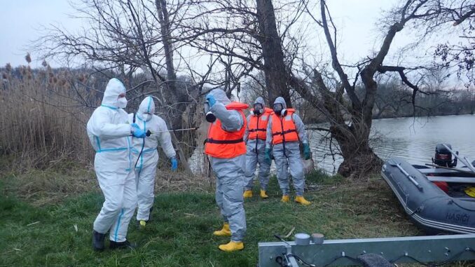 Hasiči sbírají uhynulé racky na rybníku v Chropyni