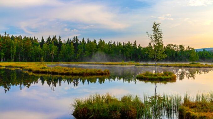 Horské jezero Laka v Národním parku Šumava. Zdroj: Shutterstock.com/Martin Lisner
