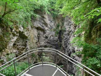 Z vyhlídkové plošiny můžete shlédnout do Hranické propasti nacházející se v národní přírodní rezervaci Hůrka. Zdroj: Shutterstock.com/Karel Gallas
