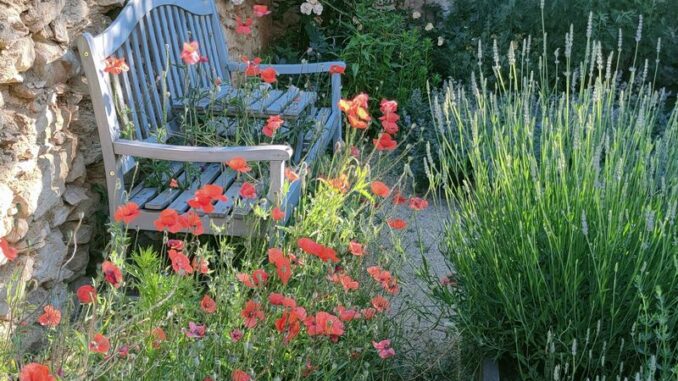 Zahradní koutek s lavičkou a vůní bylin. Zdroj foto: Levandule – bylinková zahrada, Dřevčice u Dubé