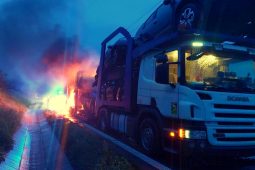 Honička skončila v pasti: Recidivistu zastavila až slepá ulice a obušek