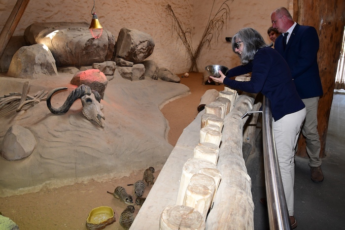 Zoologická zahrada, mládě mravenečníka