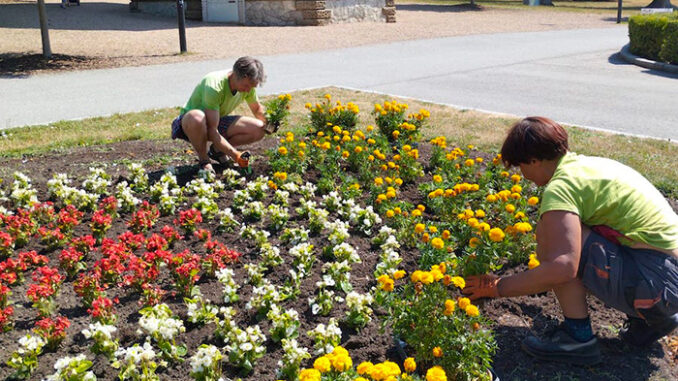 Ornamentální záhony ve Smetanových sadech v Olomouci