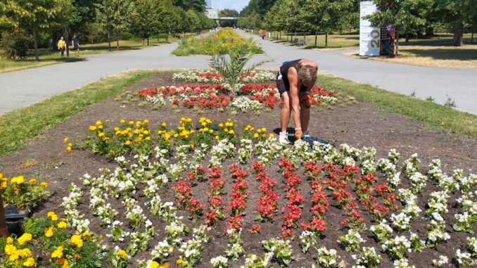 Ornamentální záhony ve Smetanových sadech v Olomouci