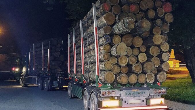 Přetížený kamion