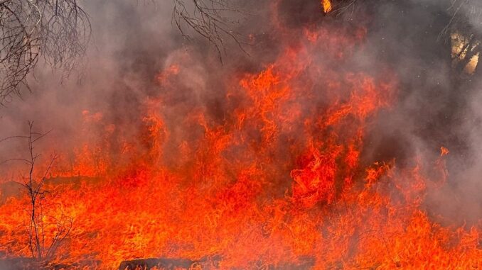 Lesní požár v Řecku