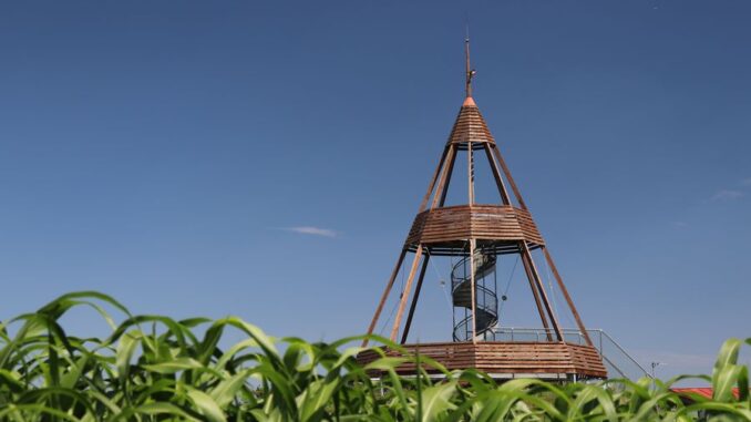 Rozhledna Ocmanice v okrese Třebíč. Zdroj: Shutterstock.com/Czech Made Photo