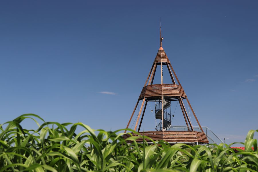 Rozhledna Ocmanice v okrese Třebíč. Zdroj: Shutterstock.com/Czech Made Photo