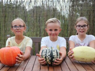 děti a dýně