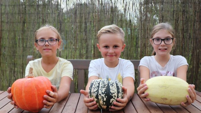 děti a dýně