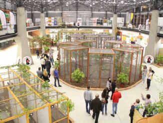 Výstava exotického ptactva