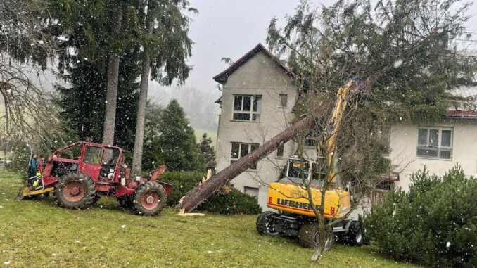 Na budovu školy spadl mohutný strom