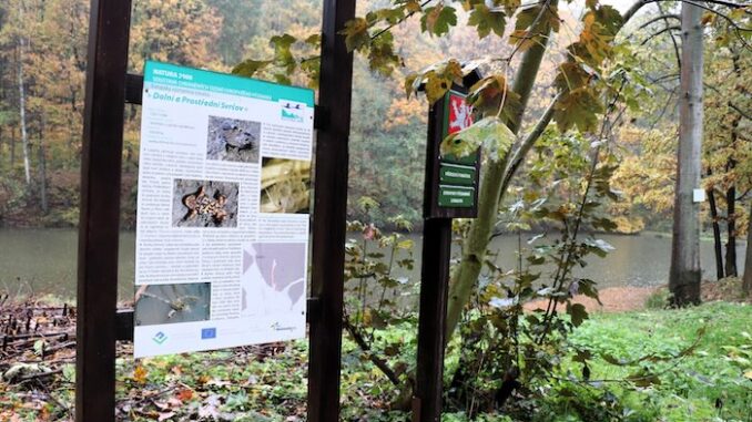 Rybník – přírodní památka 