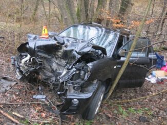 Řidič narazil do stromu