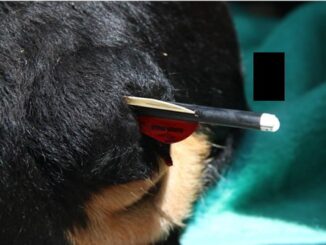 Zdroj: Policie ČR - KŘ Jihočeského kraje