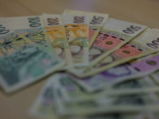 Ilustrační foto: T. Branda