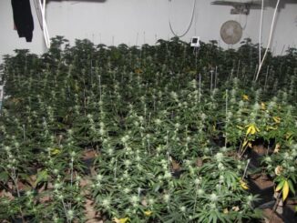 Zdroj: Policie ČR - KŘP Jihočeského kraje