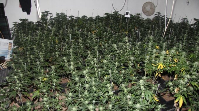 Zdroj: Policie ČR - KŘP Jihočeského kraje