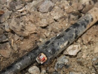 Ilustrační foto. Zdroj: Policie ČR