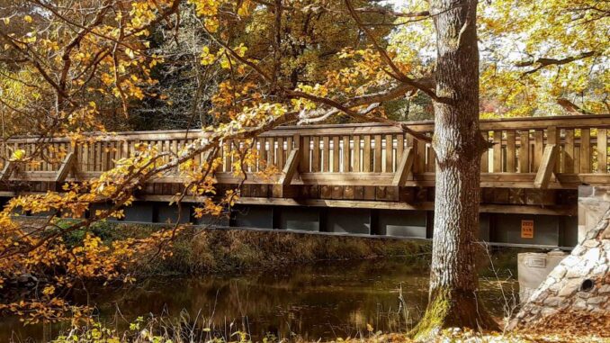 Borovanský most, Lesní správa Jindřichův Hradec. Zdroj: Lesy ČR