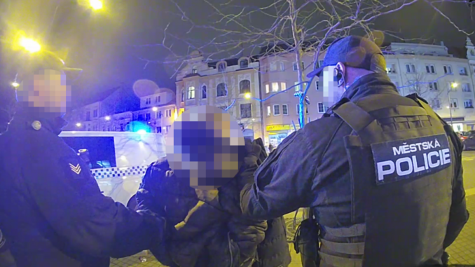 Zdroj: Městská policie České Budějovice