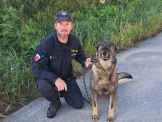 Foto: Policie ČR - KŘP Jihočeského kraje