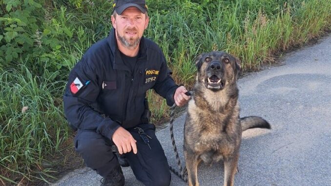 Foto: Policie ČR - KŘP Jihočeského kraje