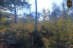 Víkend ve znamení požárů: Hořel dům, obchod i garáž, škody jdou do milionů