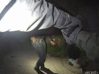 Foto: Městská policie České Budějovice