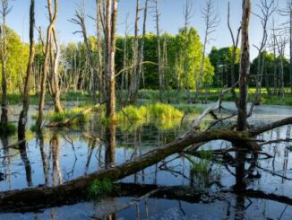 Foto: Jihočeský kraj