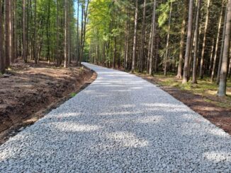 Lesní cesta Sanatorium na Písecku. Foto: Lesy ČR