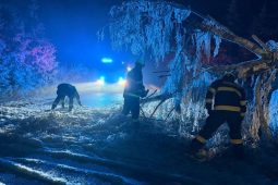 Pod námrazou padaly na Vysočině stromy. Nejhůře bylo na Jihlavsku