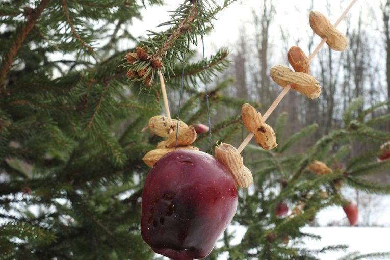 Kam za vánoční pohodou v Olomouckém kraji: Betlémské světlo, strom pro ptáčky i zlaté neděle