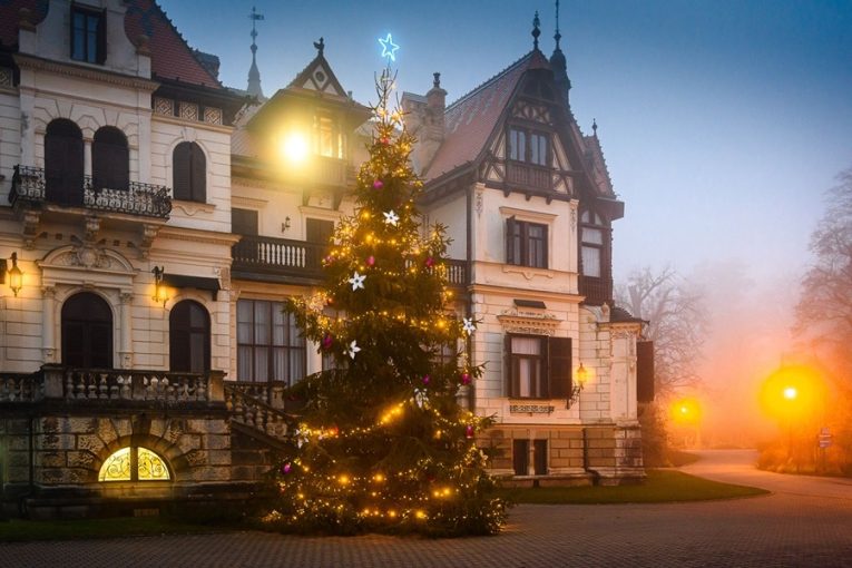 Zlínská zoo láká na vánoční návštěvu zahrady pro děti za symbolickou 1 korunu