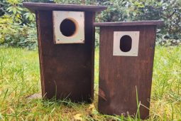 Postavte si vlastní budku pro ptáčky. Stavebnici dostanete zdarma