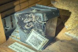 Zrní mu nechutnalo: Vloupání mělo rychlý konec!