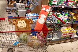 Vánoční nákupy v obchodech. Kolik času strávíme ve frontě a kde budeme čekat nejdéle