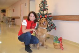 Valašskomeziříčská nemocnice se ponořila do vánoční atmosféry