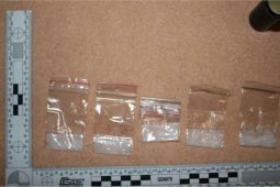 Policie rozbila drogovou síť: tři dealery poslali za mříže!