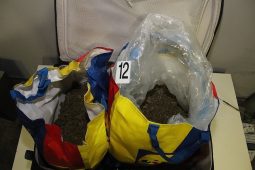 Policejní razie „Anthony“ odhalila laboratoř drog, muž skončil ve vězení!