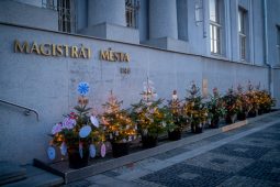 FOTO: Frýdecko-místecké děti opět ozdobily stromečky před radnicí