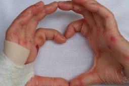 Advent v Pardubicích je časem sdílení a pomoci