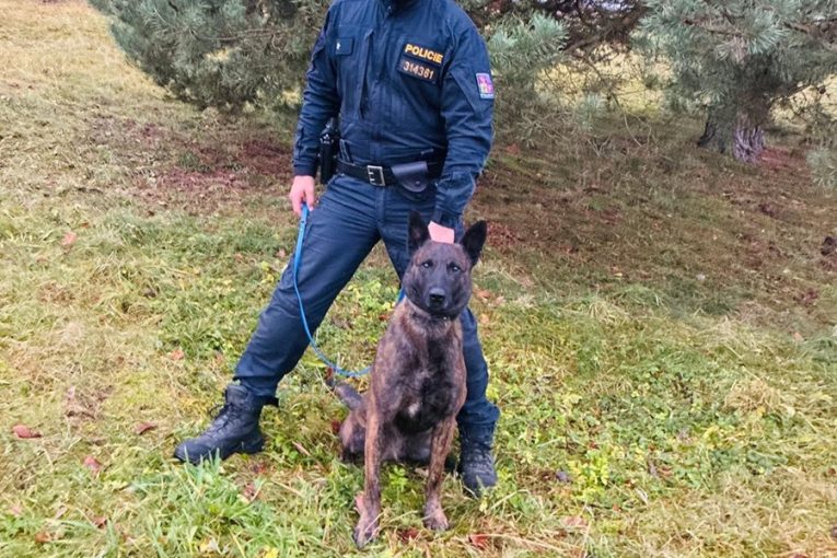 Policejní pes Ludvík vypátral ztraceného chlapce