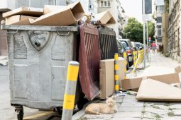 Kam s krabicemi a stromkem? Nepořádek po Vánocích vyřeší velkoobjemové kontejnery