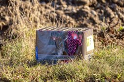 Inspektoři ČOI zjistili ve dvou stáncích v Hatích téměř 300 kilogramů čisté hmotnosti výbušných látek