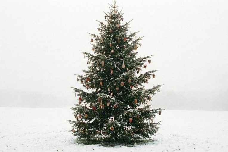 Vánoční pohádka ožívá na Starých Hradech. Hrad láká rodiny na zážitkové prohlídky i čokoládové speciality